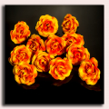 Róża główka 12 szt 4cm Orange